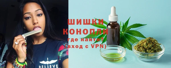 винт Богородицк